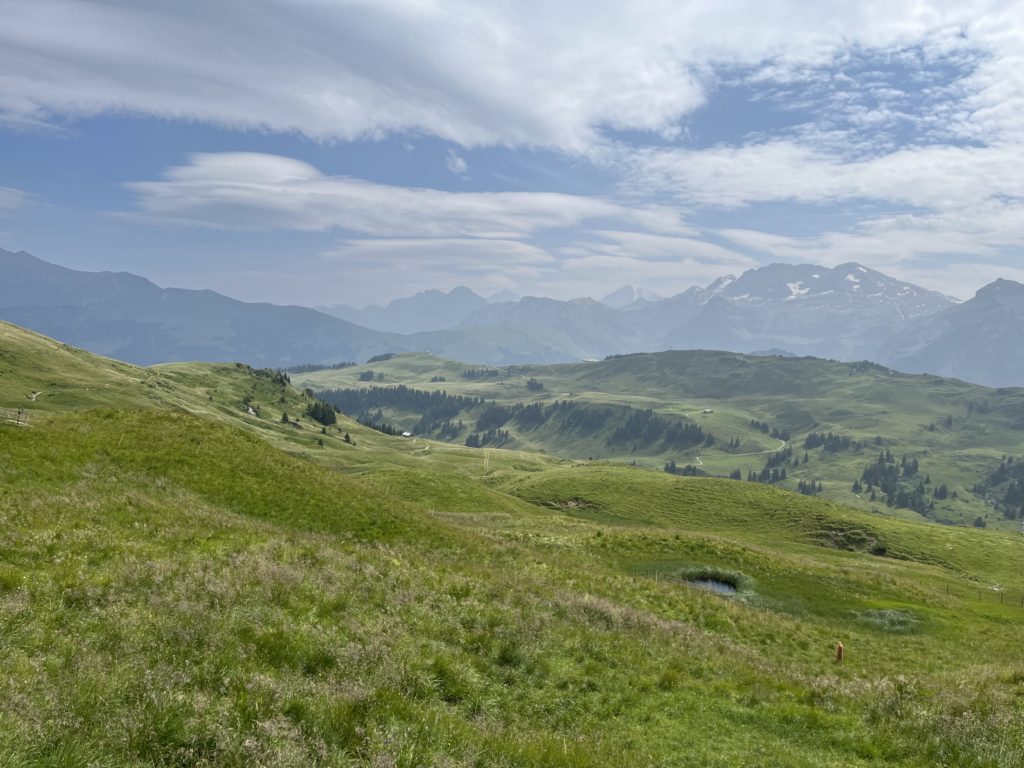 View along the Via Alpina hiking trail