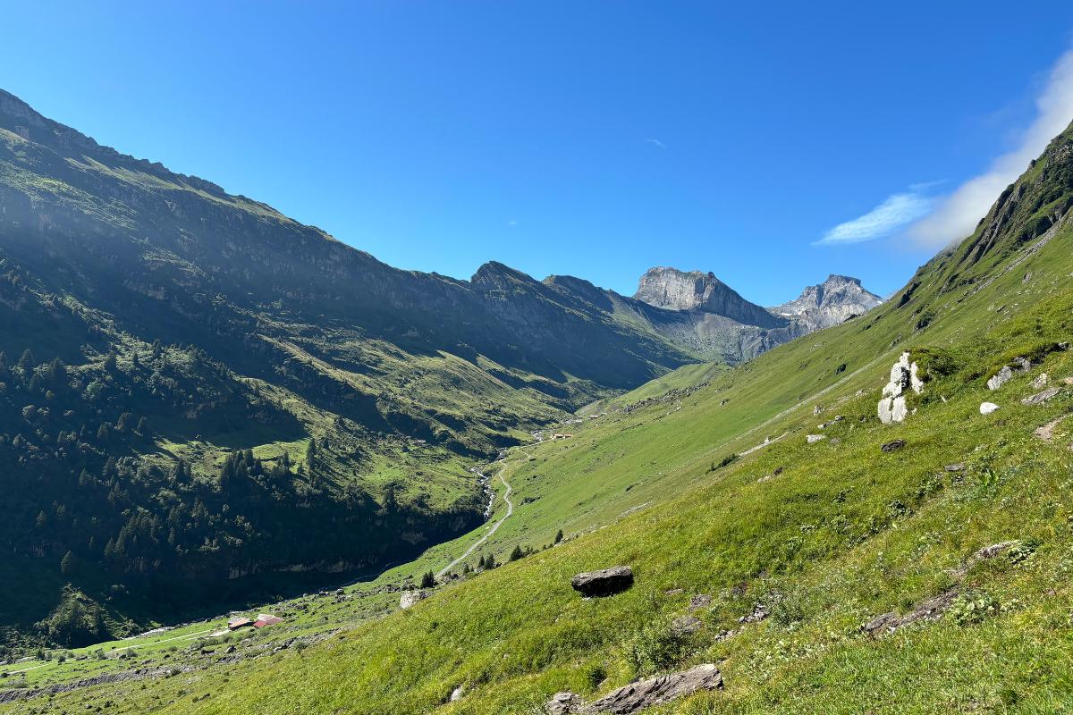 Via Alpina hiking trail