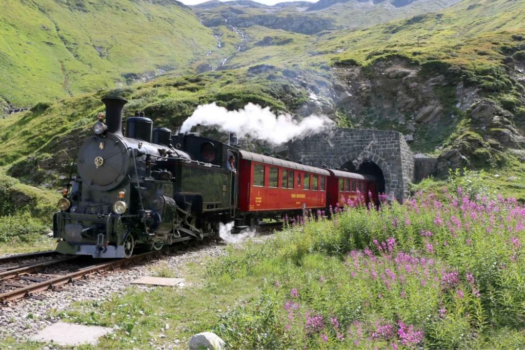 Furka Cogwheel Railway steam locomotive passing through Alpine meadow with purple wildflowers and mountain tunnel, Switzerland